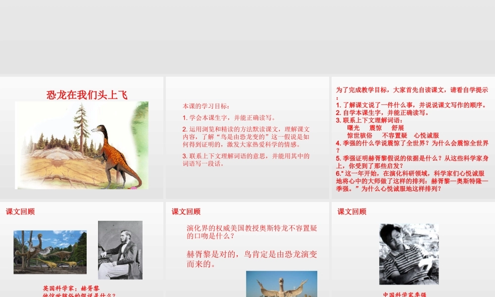 9恐龙在我们头上飞