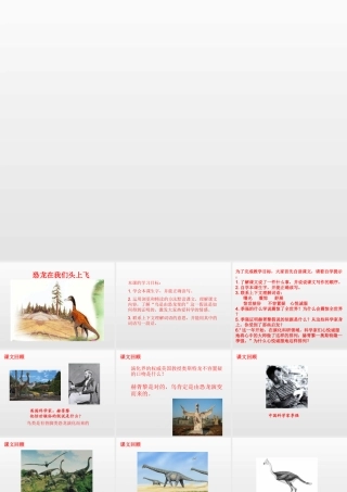 9恐龙在我们头上飞