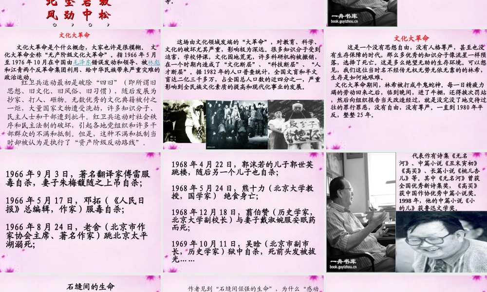 七年级语文上册 第六单元 第33课(石缝间的生命)课件 上海五四制版 课件