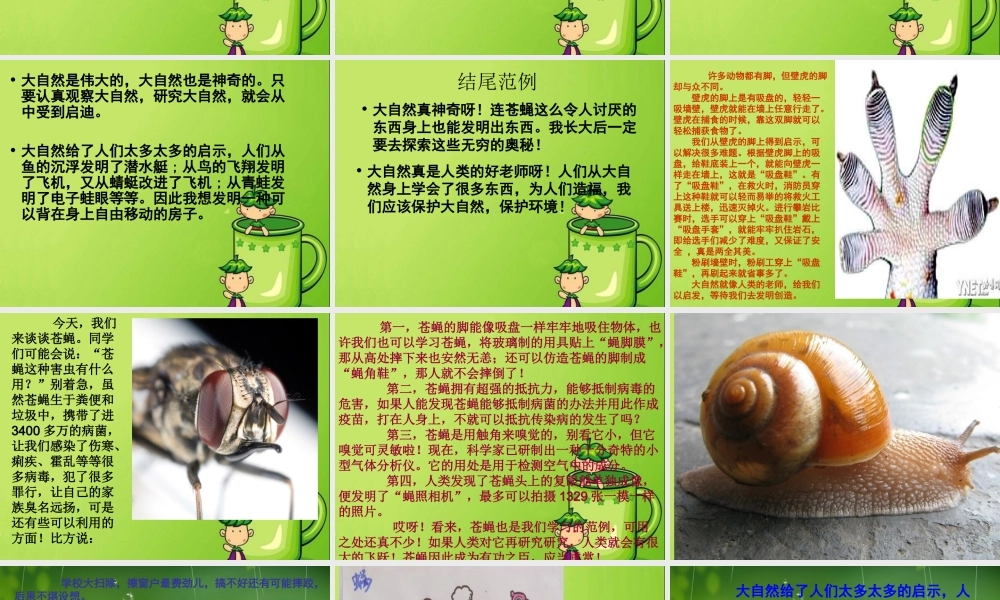 四年级下册三单元习作：大自然的启示