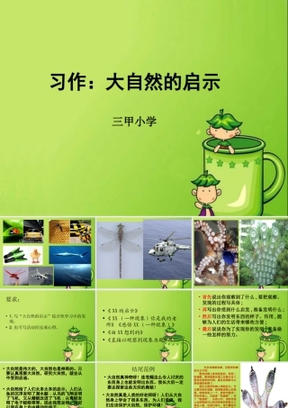 四年级下册三单元习作：大自然的启示