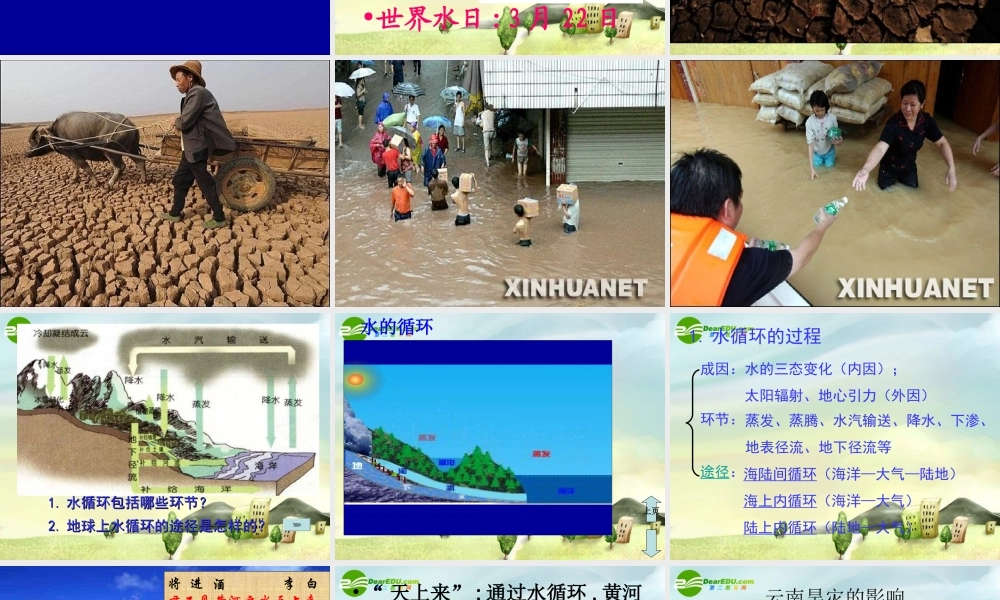 八年级科学上册 水在哪里课件 浙教版 课件