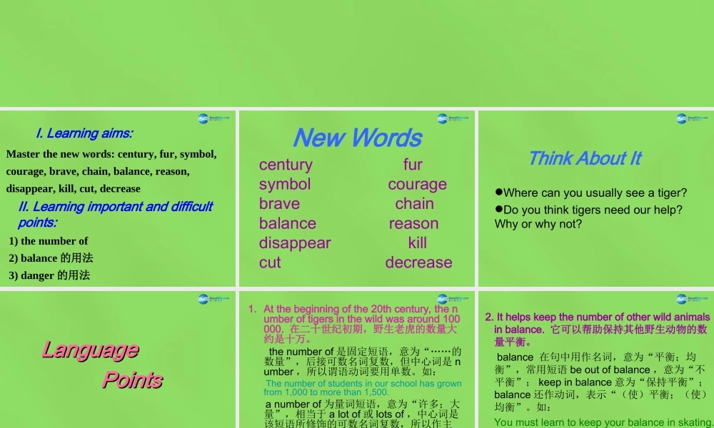 八年级英语下册 Unit 3 lesson 17 Save the Tigers课件 (新版)冀教版 课件