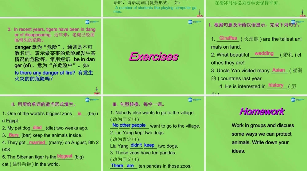 八年级英语下册 Unit 3 lesson 17 Save the Tigers课件 (新版)冀教版 课件