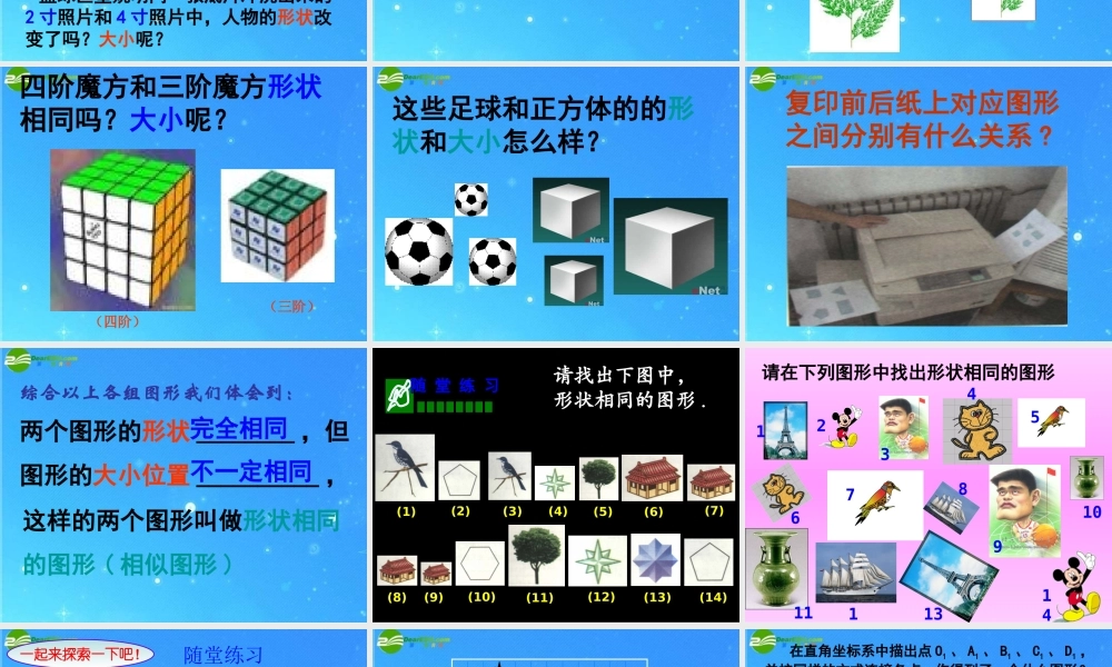 八年级数学下册 4.3形状相同的图形 课件 北师大版 课件