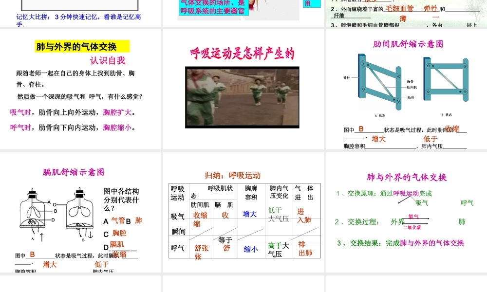 济南版七下第二章第一节人体与外界的气体交换(共26张PPT)
