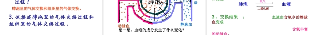 济南版七下第二章第一节人体与外界的气体交换(共26张PPT)