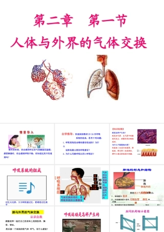 济南版七下第二章第一节人体与外界的气体交换(共26张PPT)
