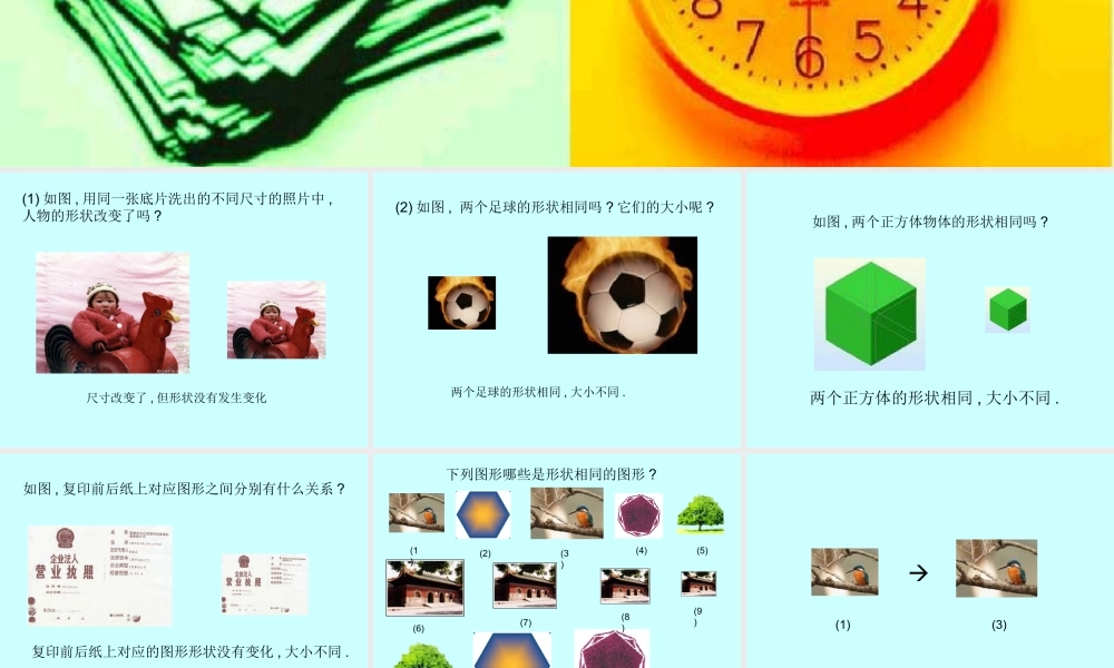 八年级数学形状相同的图形课件1鲁教版 课件