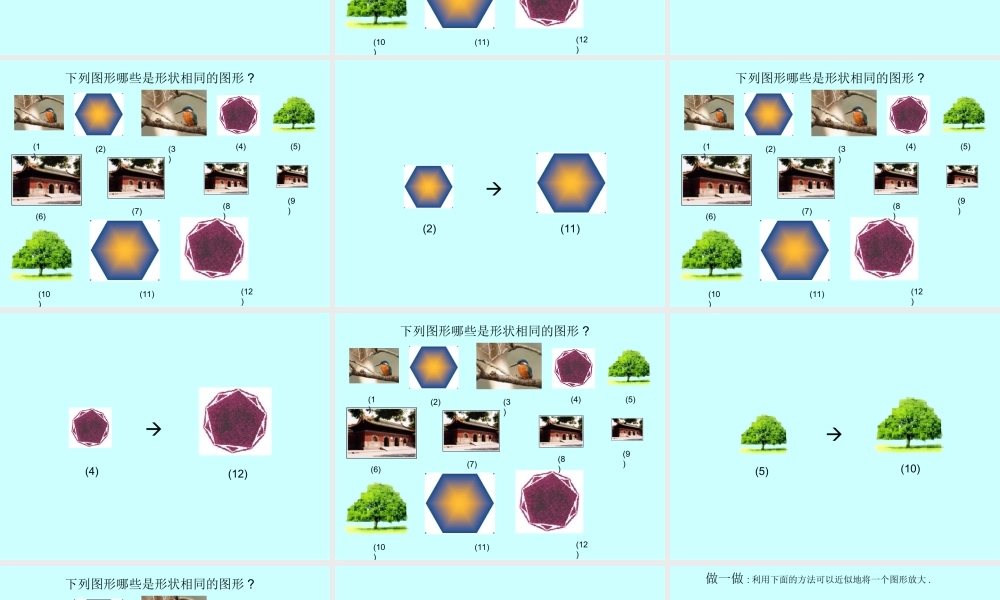 八年级数学形状相同的图形课件1鲁教版 课件