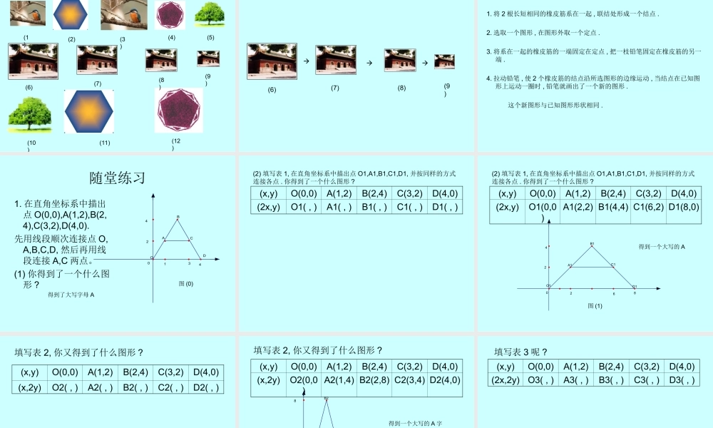 八年级数学形状相同的图形课件1鲁教版 课件