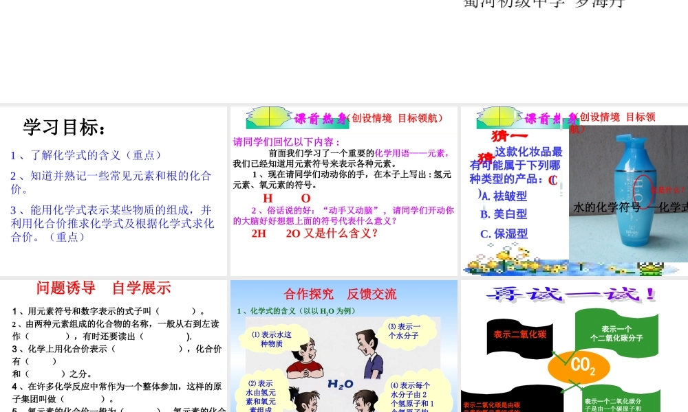 新人教九年级上化学化学式与化合价课件