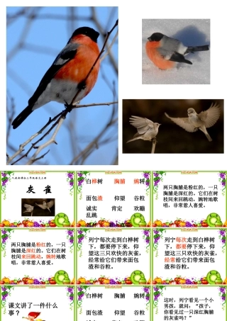 《灰雀》教学课件1