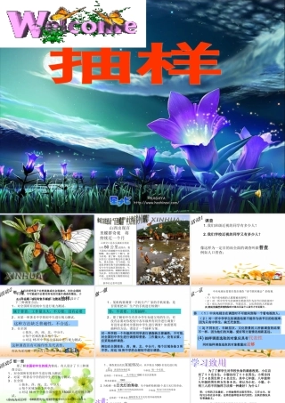 八年级数学上册抽样 课件浙教版 课件