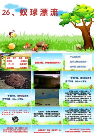 26蚁球漂流