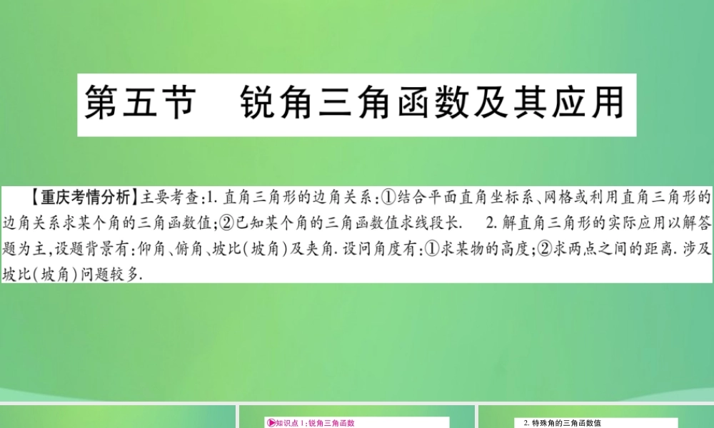 中考数学复习 第一轮 考点系统复习 第四章 三角形 第五节 锐角三角函数及其应用(精讲)课件