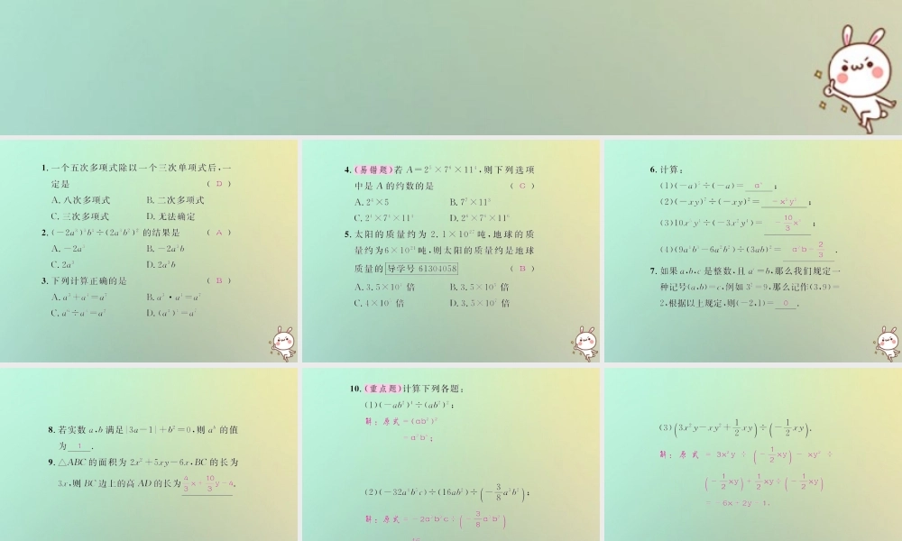 八年级数学上册 第十四章 整式的乘法与因式分解 14.1 整式的乘法 14.1.4 整式的乘法 第4课时 整式的除法习题课件 (新版)新人教版 课件