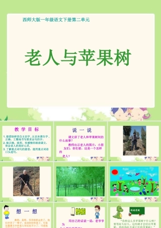 《老人与苹果树》课件(西师大版小学语文一年级下册课件)