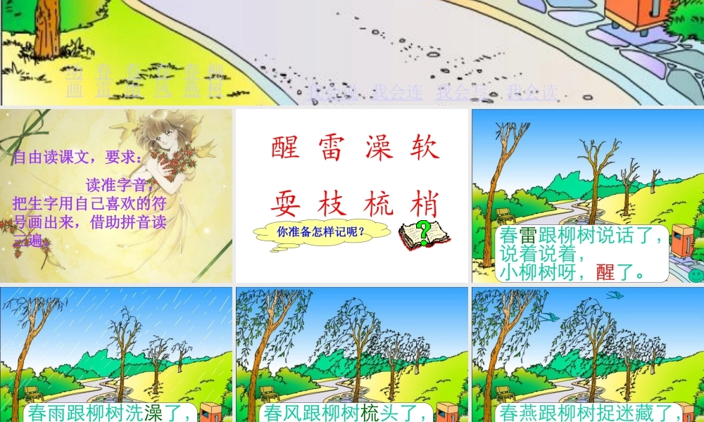 《柳树醒了》课件 (2)