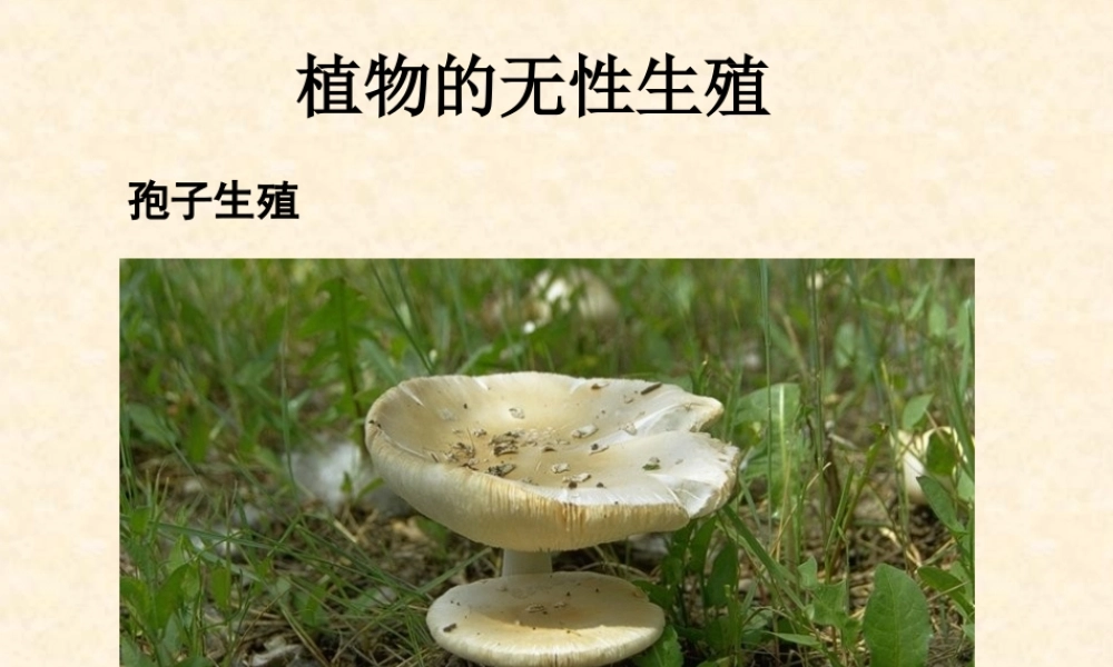 植物的无性生殖2