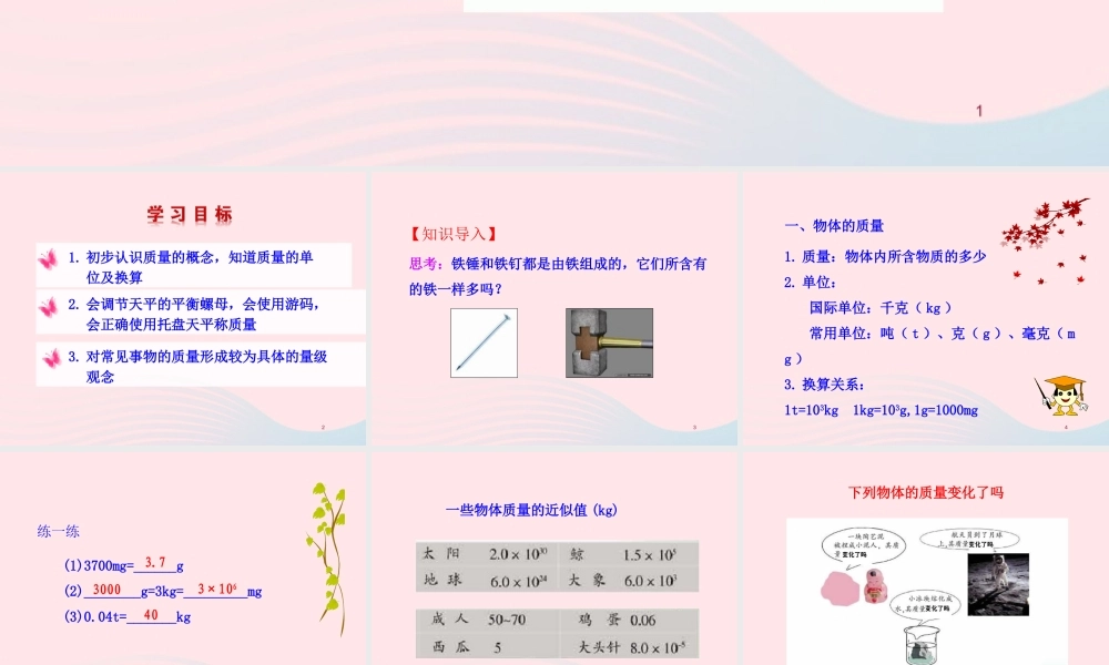 二  物体的质量及其测量课件 八年级物理上册 2.2物体的质量及其测量课件+素材(新版)北师大版 八年级物理上册 2.2物体的质量及其测量课件+素材(新版)北师大版
