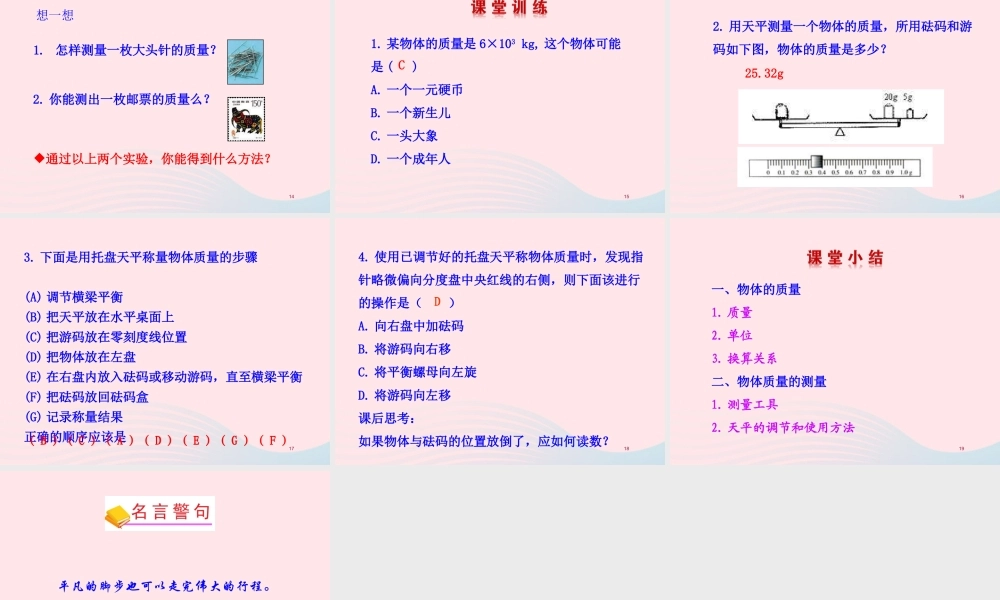 二  物体的质量及其测量课件 八年级物理上册 2.2物体的质量及其测量课件+素材(新版)北师大版 八年级物理上册 2.2物体的质量及其测量课件+素材(新版)北师大版