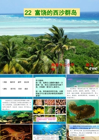 《富饶的西沙群岛》课件修改2