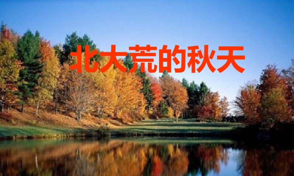 小学三年级上学期语文《北大荒的秋天》优质课PPT课件