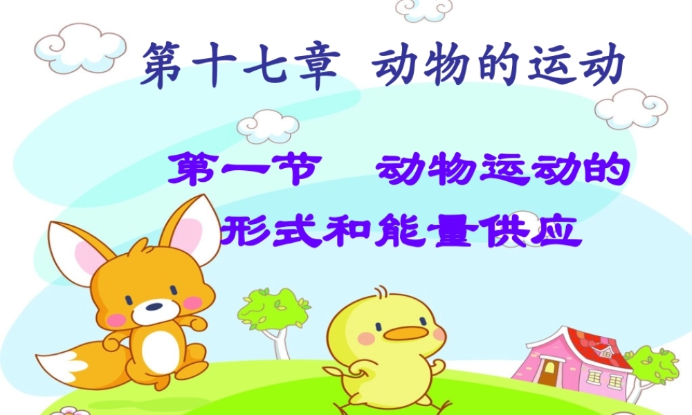 动物运动的形式和能量供应