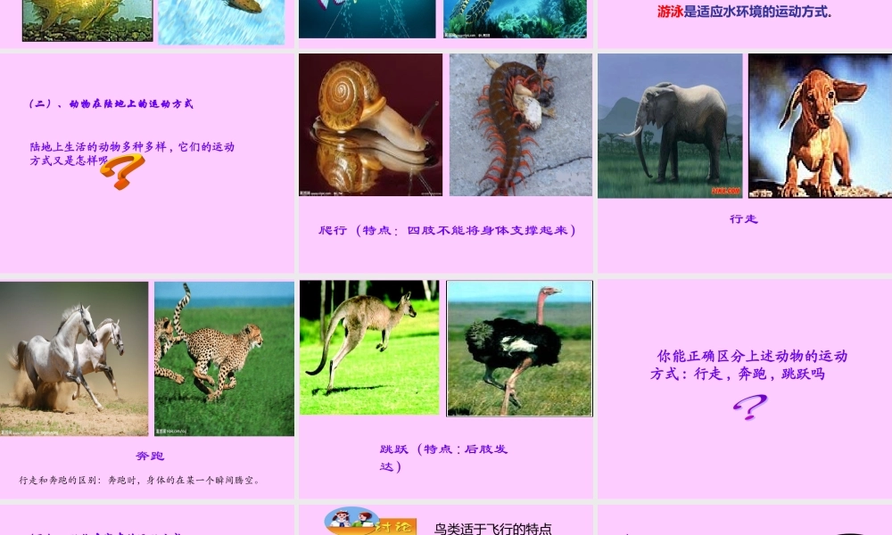 动物运动的形式和能量供应