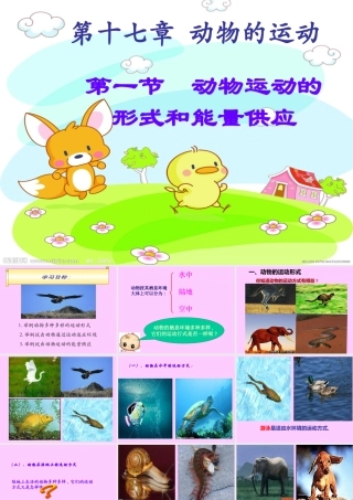 动物运动的形式和能量供应