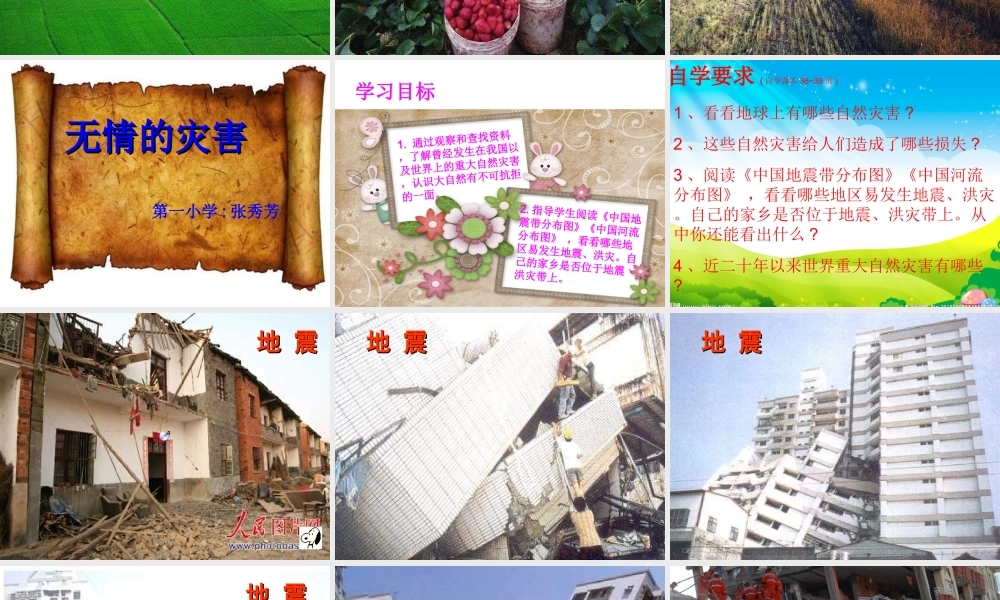人教版六年品德与社会下册无情的灾害