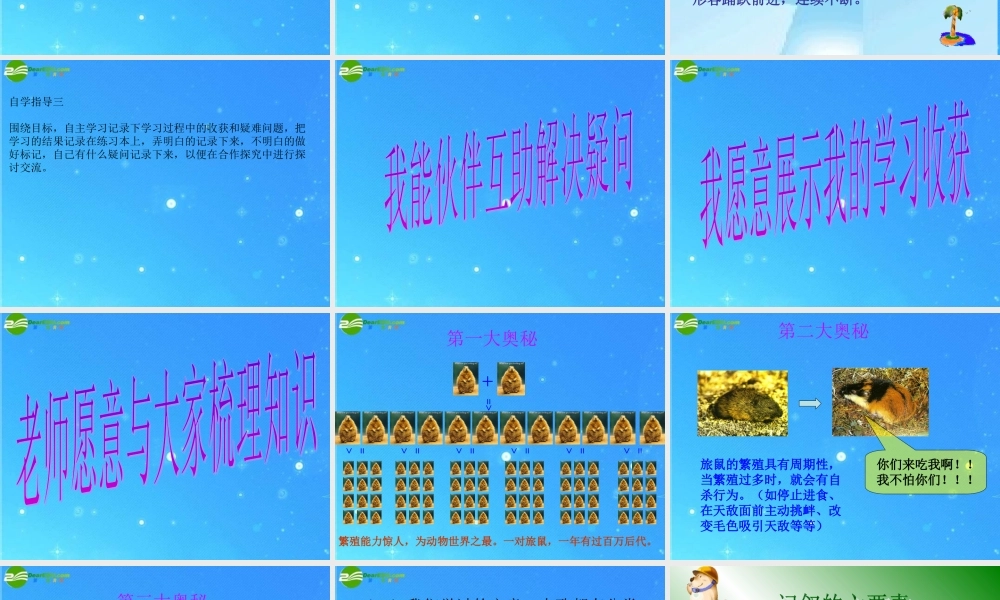 八年级语文下册(旅鼠之谜)课件 人教新课标版 课件