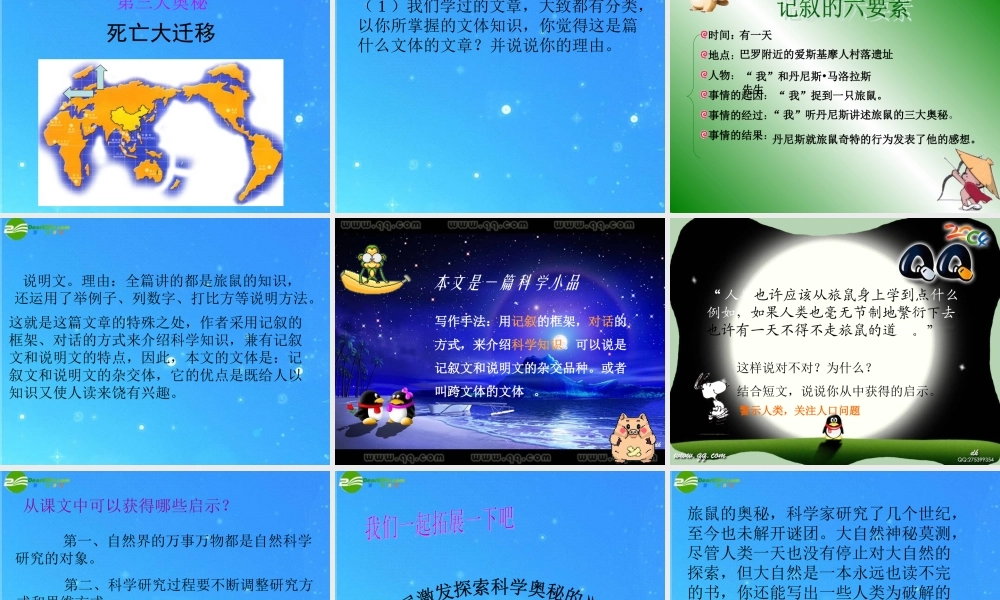 八年级语文下册(旅鼠之谜)课件 人教新课标版 课件