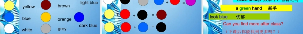 七年级英语上册 Section A What color is it课件  人教新目标版 课件