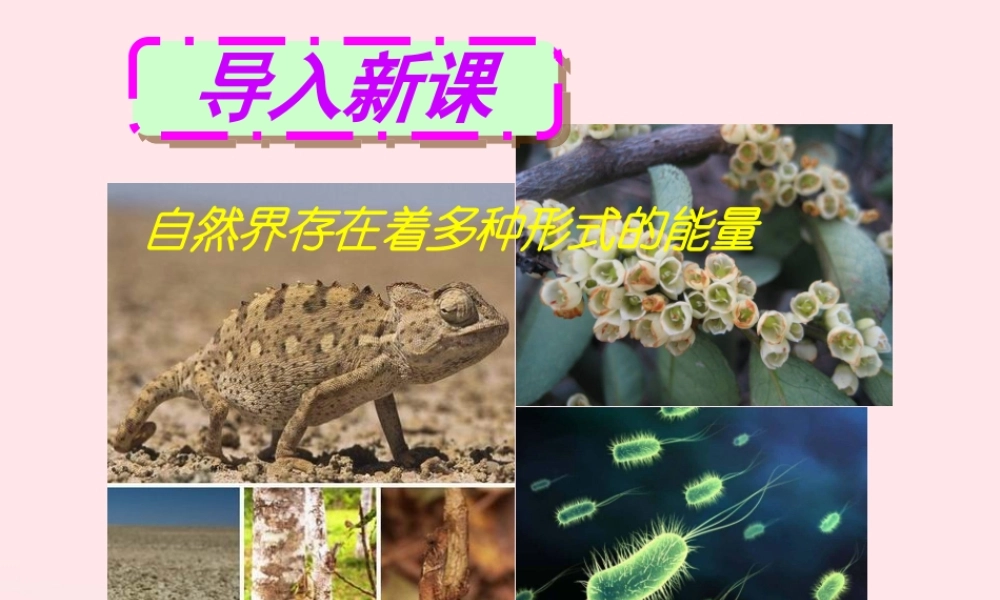 九年级物理下册  能的转化与能量守恒课件 (新版)粤教沪版 课件