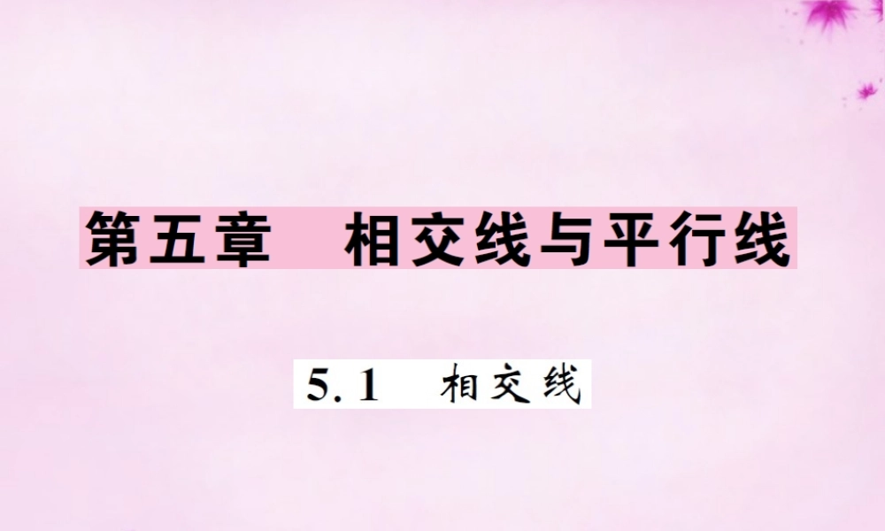 七年级数学下册 5.1 相交线课件 (新版)新人教版 课件