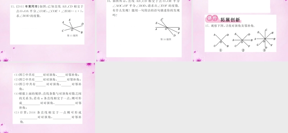 七年级数学下册 5.1 相交线课件 (新版)新人教版 课件