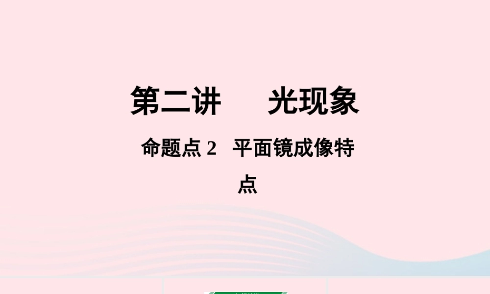 广东省中考物理一轮复习 第二讲 光现象 命题点2 平面镜成像特点课件