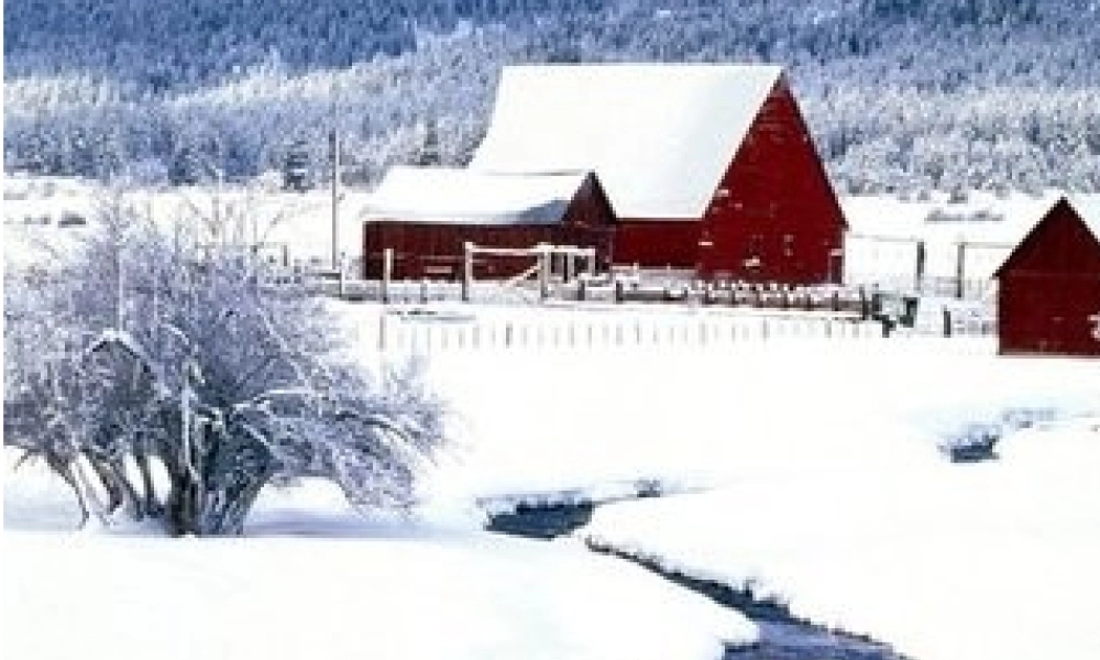 李美枝讲雪地里的小画家用