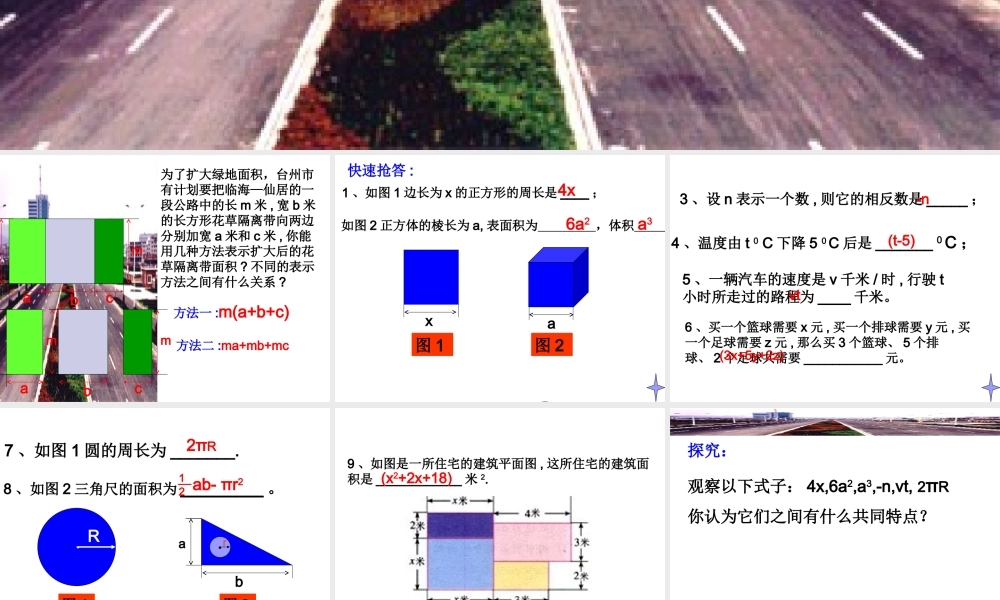 八年级数学整式课件 新课标 人教版 课件