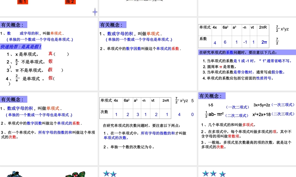 八年级数学整式课件 新课标 人教版 课件