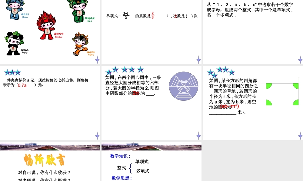 八年级数学整式课件 新课标 人教版 课件