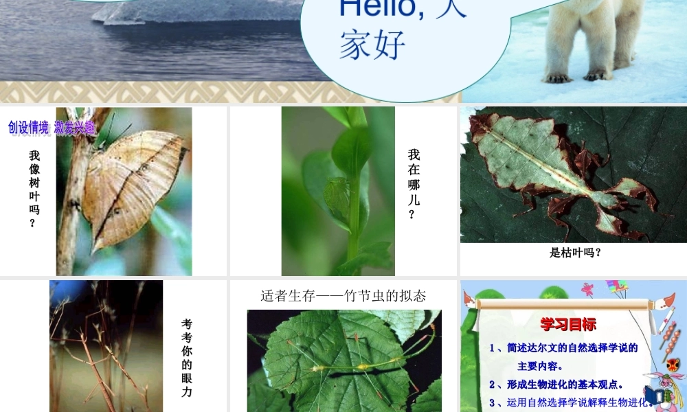 2014年生物进化的原因