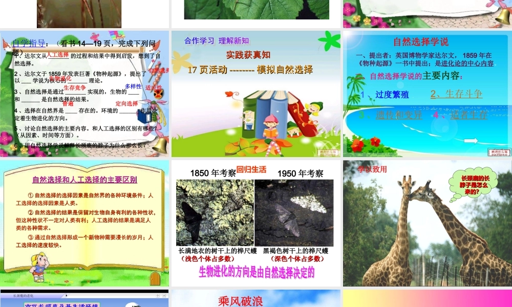 2014年生物进化的原因