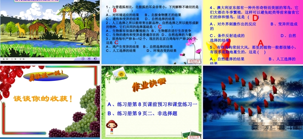 2014年生物进化的原因