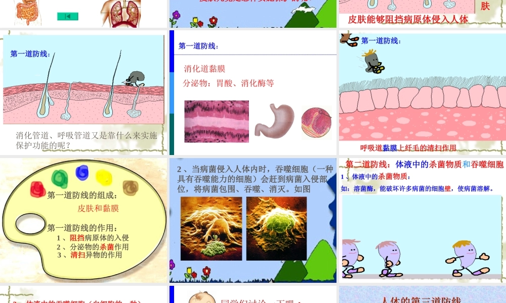 免疫和计划免疫课件人教版八年级下册