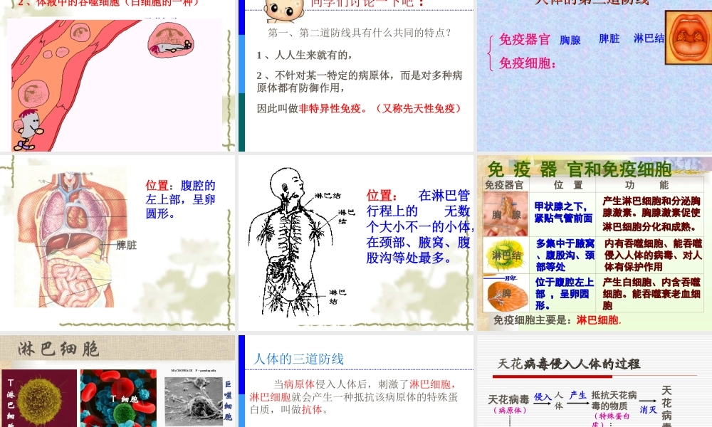 免疫和计划免疫课件人教版八年级下册