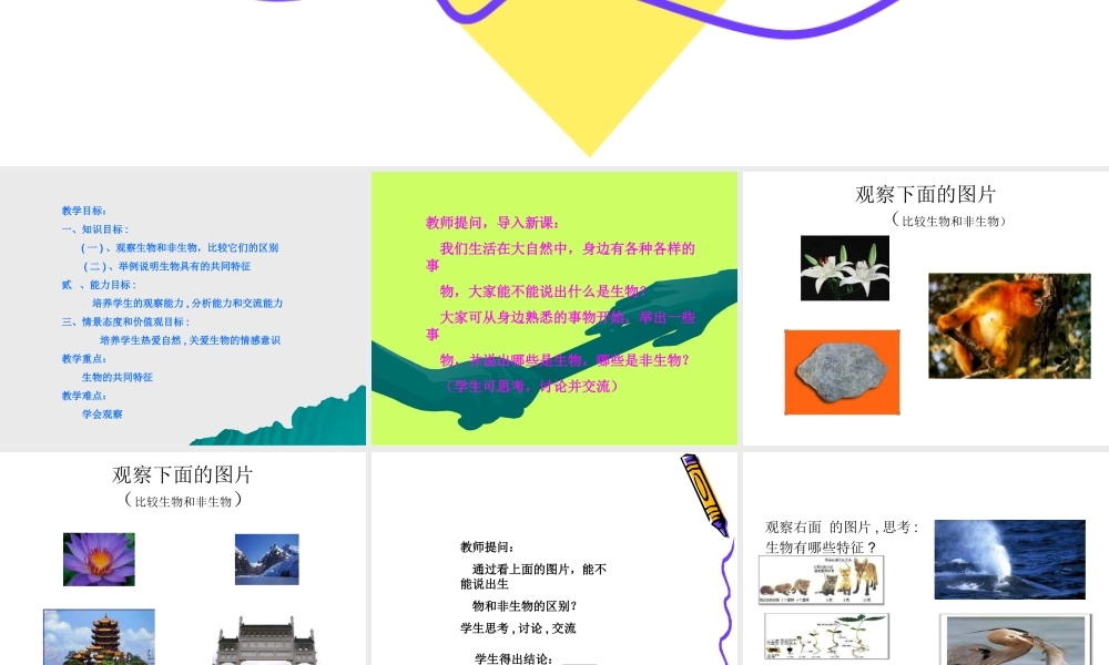 七年级生物上：第一单元第一章第一节 生物的基本特征课件(济南版) 课件