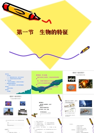 七年级生物上：第一单元第一章第一节 生物的基本特征课件(济南版) 课件